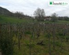 Strada Mulino 1,85055 Picerno,Potenza,Basilicata,2 Bedrooms Bedrooms,Residenziale,Strada Mulino,1172