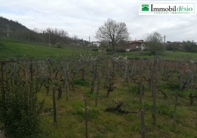 Strada Mulino 1,85055 Picerno,Potenza,Basilicata,2 Bedrooms Bedrooms,Residenziale,Strada Mulino,1172