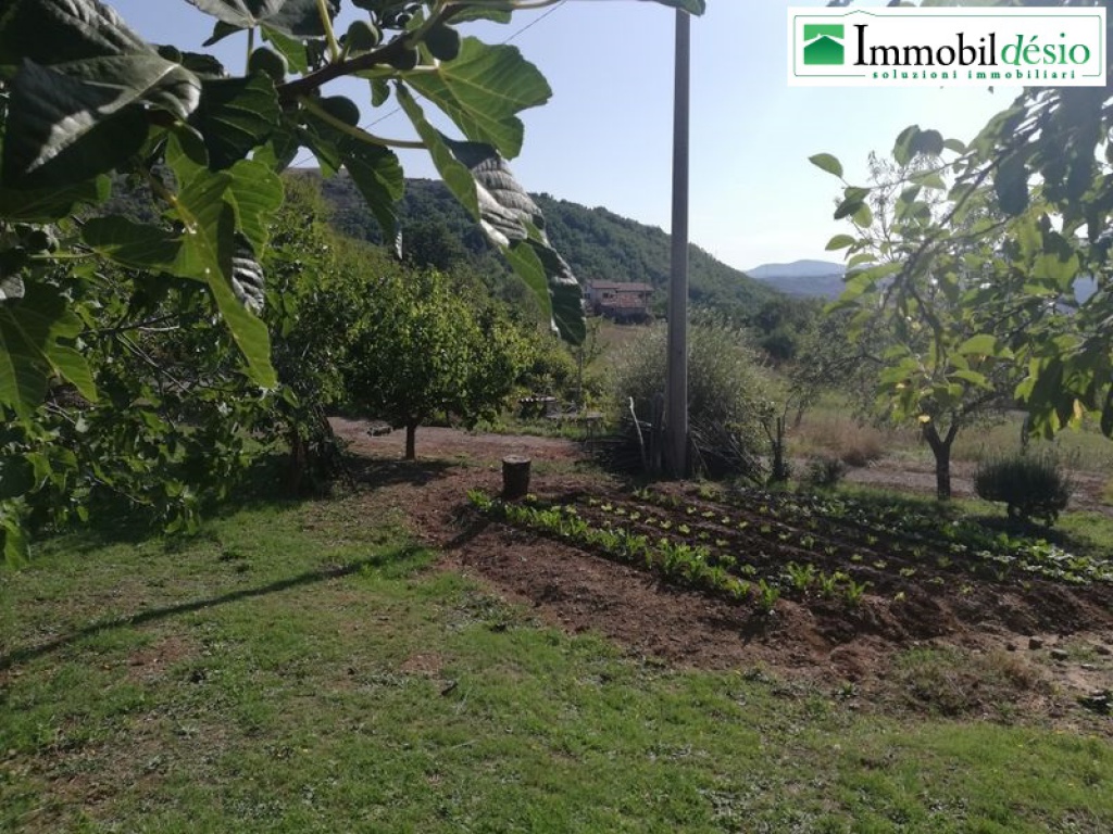 Contrada Pnatanelle snc, 85050 Satriano di Lucania, Potenza, Basilicata, 3 Stanze da Letto Stanze da Letto, ,Residenziale,Vendita,Contrada Pnatanelle,1236