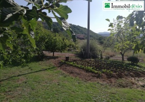 Contrada Pnatanelle snc, 85050 Satriano di Lucania, Potenza, Basilicata, 3 Stanze da Letto Stanze da Letto, ,Residenziale,Vendita,Contrada Pnatanelle,1236