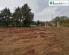Via Borea c/da Cerreta snc, 85100 Potenza, POTENZA, BASILICATA, ,Residenziale,Vendita,Via Borea c/da Cerreta,1332