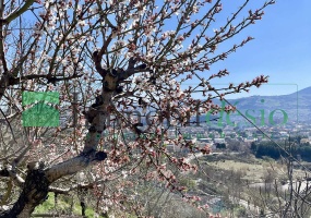 Via dei molinari 195, 85100 Potenza, Potenza, Basilicata, 2 Stanze da Letto Stanze da Letto, ,Residenziale,Vendita,Via dei molinari,1528