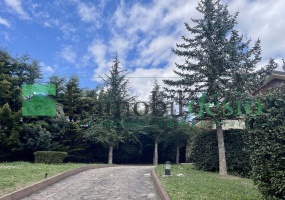 via mercadanti, 85010 Pignola, Potenza, Basilicata, 3 Stanze da Letto Stanze da Letto, ,Residenziale,Vendita,via mercadanti,1538