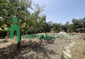 Via Complanare Tufaroli 317, 85100 Potenza, Potenza, Basilicata, 4 Stanze da Letto Stanze da Letto, 0 ,Residenziale,Vendita,Via Complanare Tufaroli,0,1771 Via Complanare Tufaroli 317, 85100 Potenza, Potenza, Basilicata, 4 Stanze da Letto Stanze da Letto, 0 ,Residenziale,Vendita,Via Complanare Tufaroli,0,1771